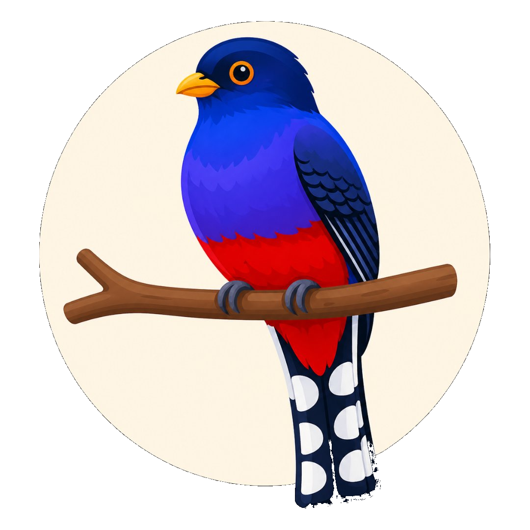 Kanson Wouj — Hispaniolan Trogon